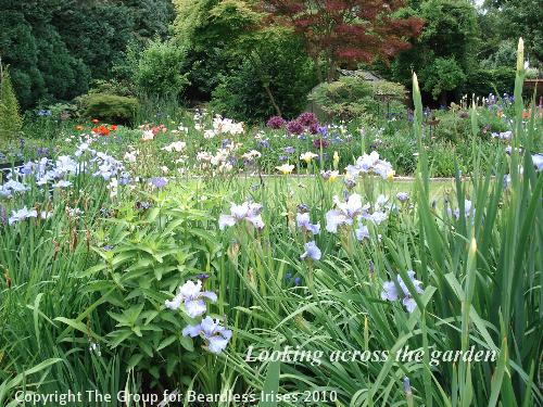 OW G05 Looking across the garden